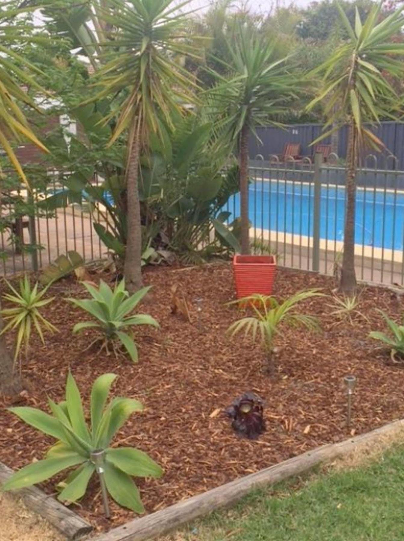 Cronulla Motor Inn Kültér fotó